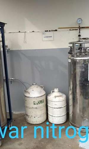 Nitrogênio líquido Nitrogênio líquido